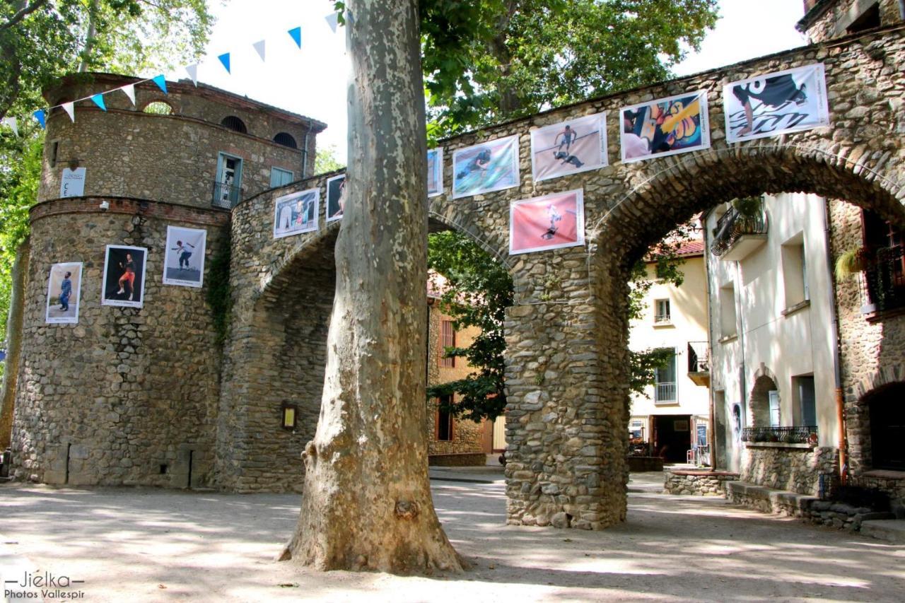 La Cigogne Appartement Céret Buitenkant foto