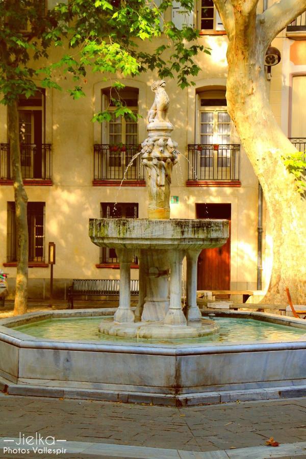 La Cigogne Appartement Céret Buitenkant foto