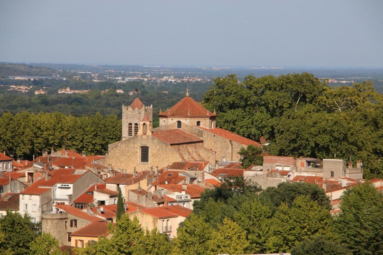 La Cigogne Appartement Céret Buitenkant foto