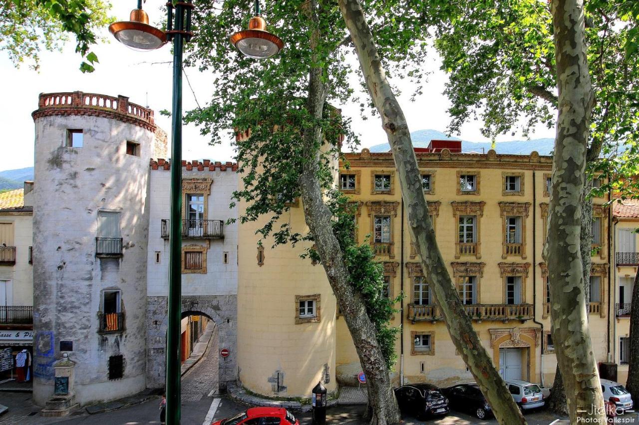 La Cigogne Appartement Céret Buitenkant foto